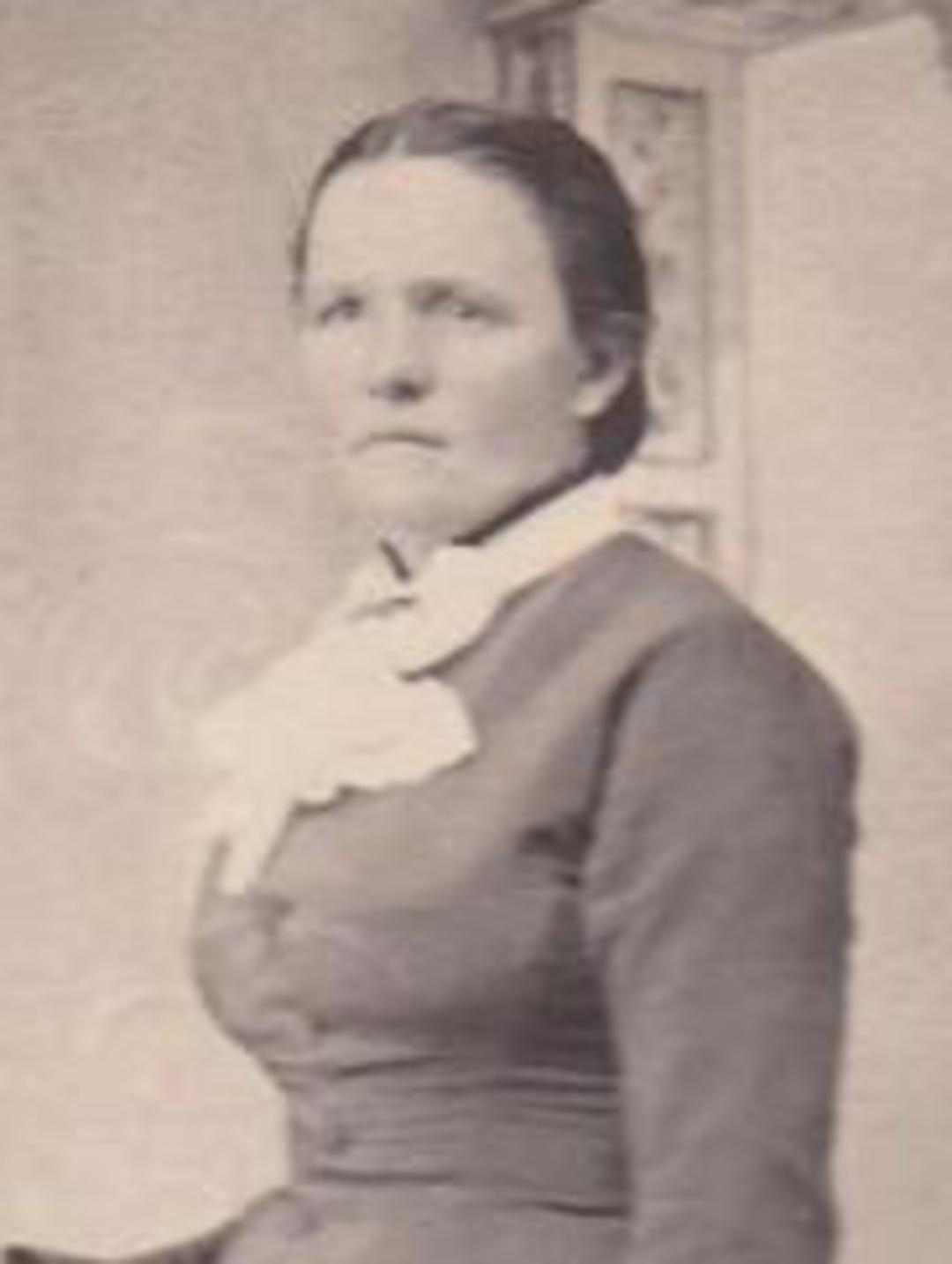 Elizabeth Adelaide Hoopes (1847 - 1889) Profile